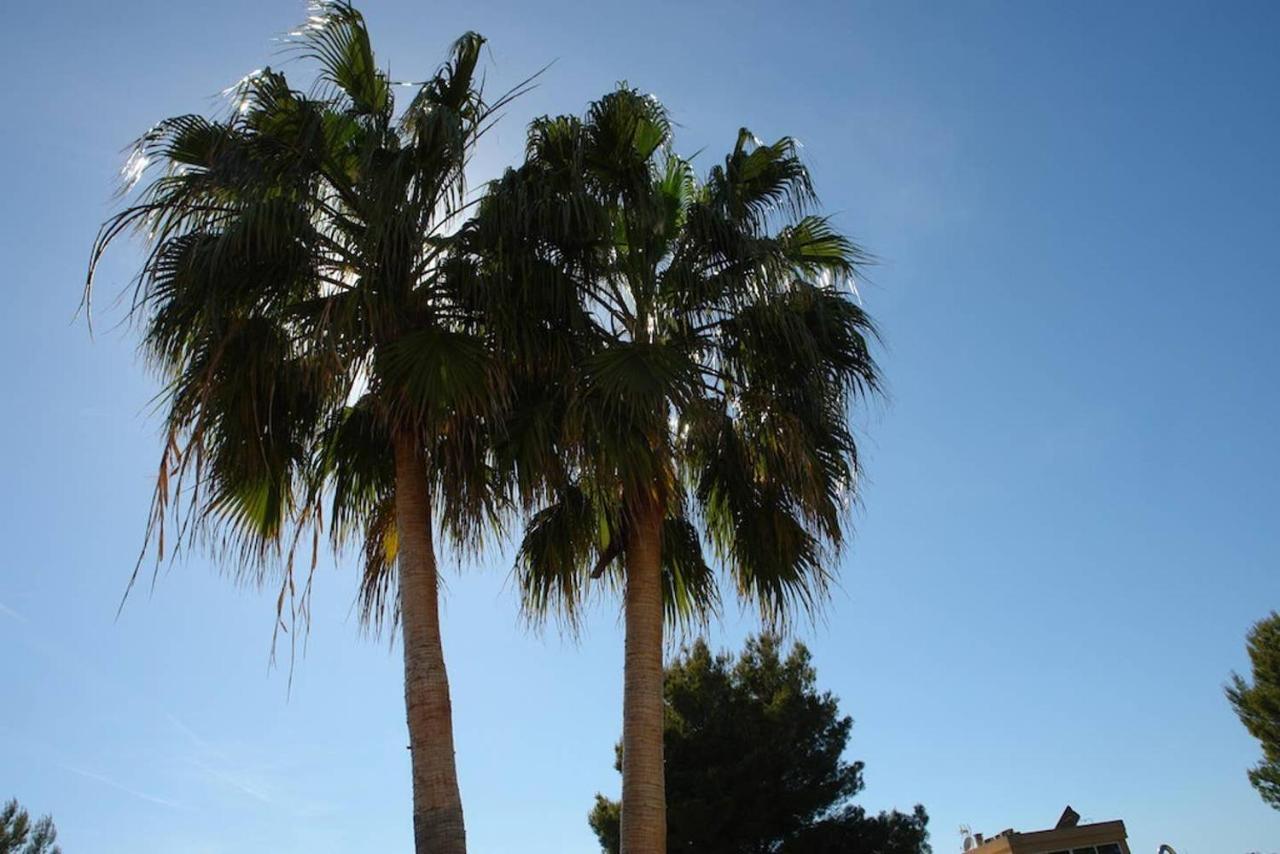Havana Alcudia  Ngoại thất bức ảnh